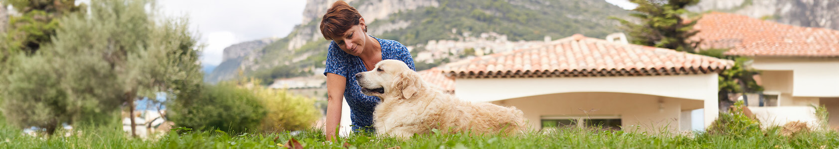 How to Best Protect Your Dog in Cold Weather